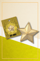 Stella Star Badge Metal