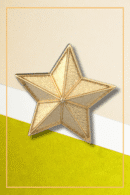 Stella Star Badge Metal