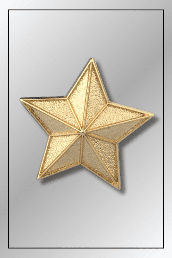 SPY x FAMILY Stella Star Badge – Symbol of Honour at Eden College